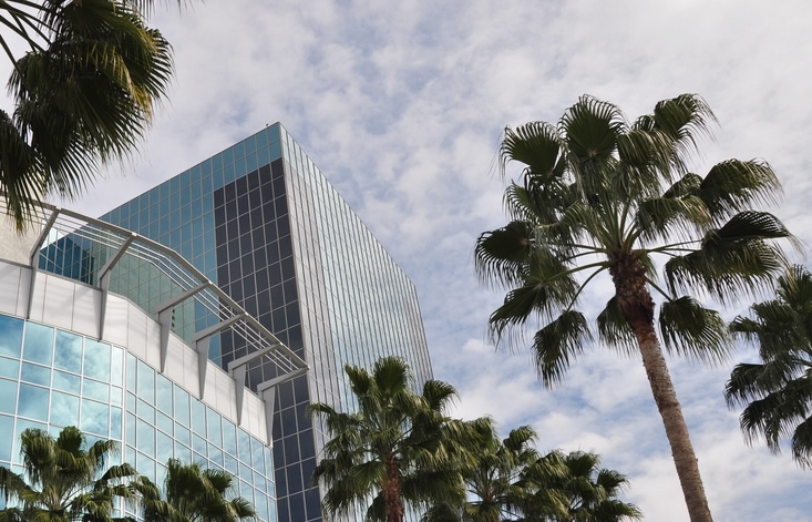 Szklane budynki w otoczeniu palm
